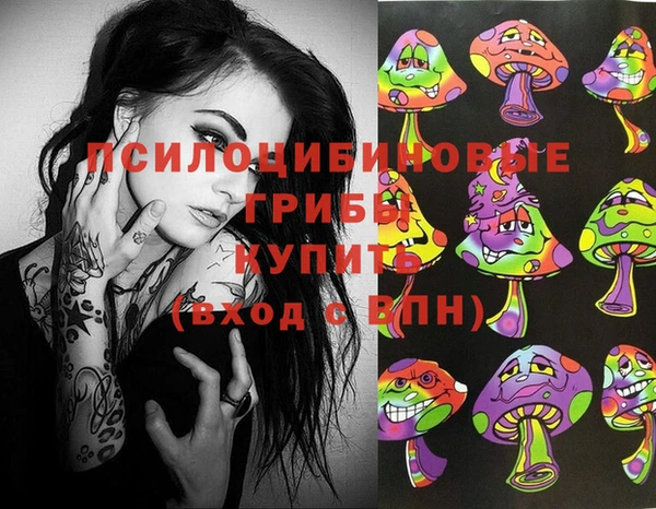 apvp Надым