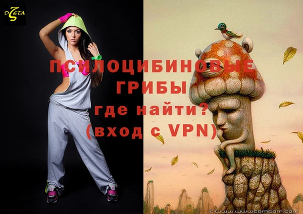 apvp Надым