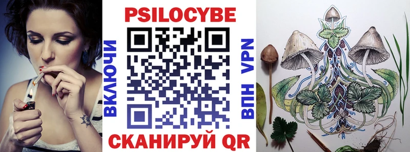 Купить где  Зарайск  Псилоцибиновые грибы мицелий 